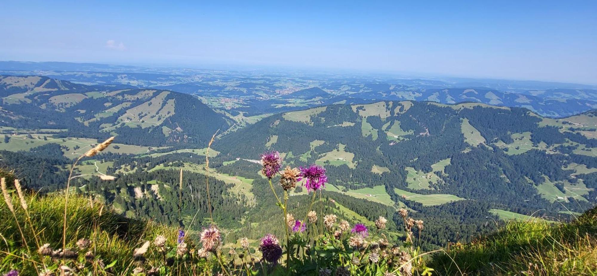 Exklusive Fewo Allgaeustern Steibis Mit Wlan Sauna Kamin Und Oberstaufen Plus Card Bagian luar foto