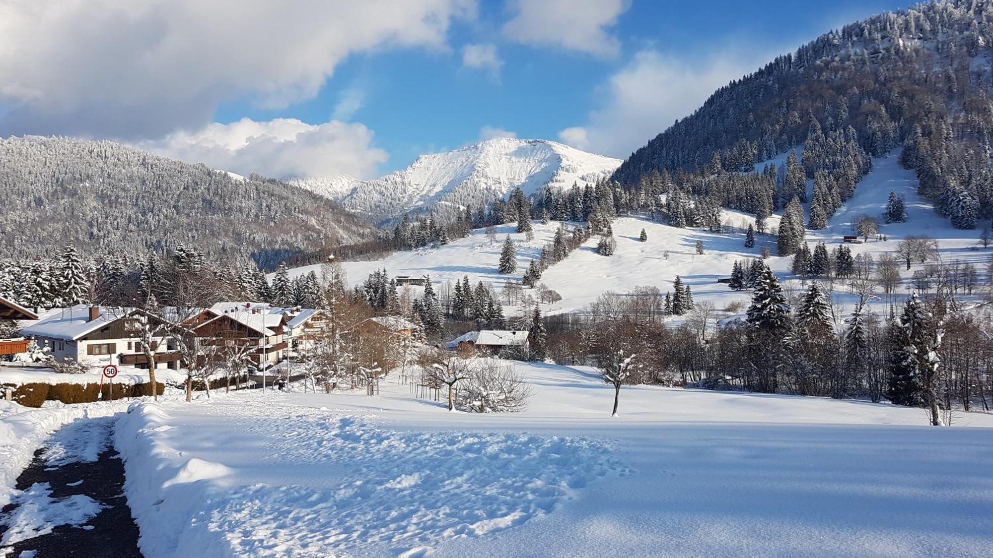 Exklusive Fewo Allgaeustern Steibis Mit Wlan Sauna Kamin Und Oberstaufen Plus Card Bagian luar foto